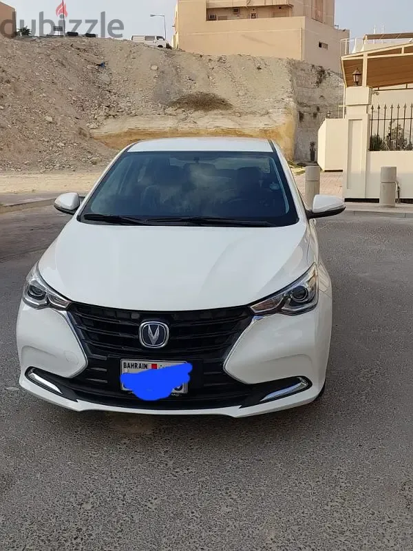 شانجان السفين 2024